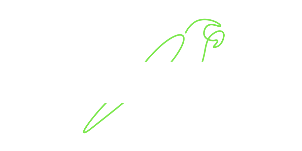 Your Vacay Rentals